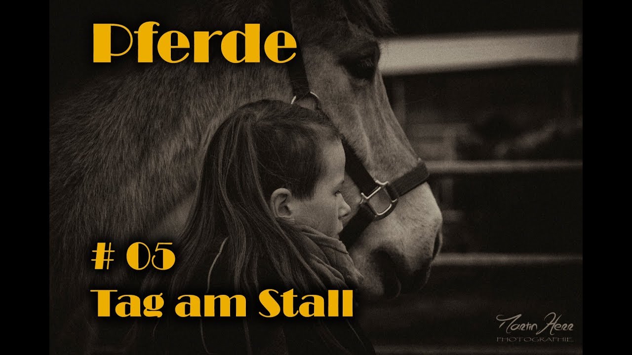 Kurzer Besuch am Stall