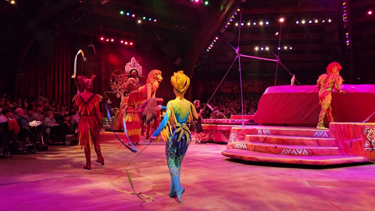 2023-12-15 Disney Animal Kingdom - The Festival of the Lion King