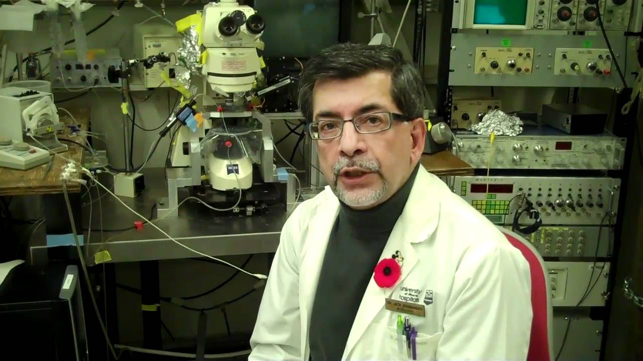 Medical researchers ID additional link between Alzheimer's and prion diseases