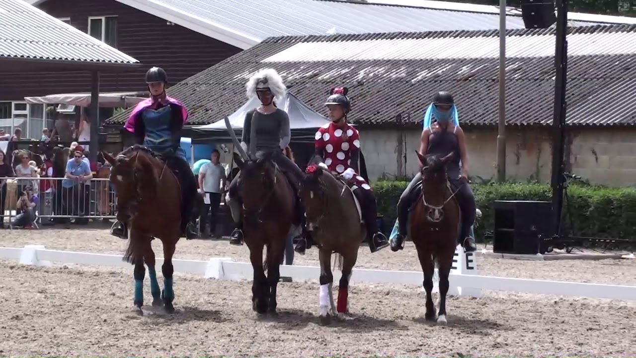 8 Tal Demonstratie - Manege Lelystad