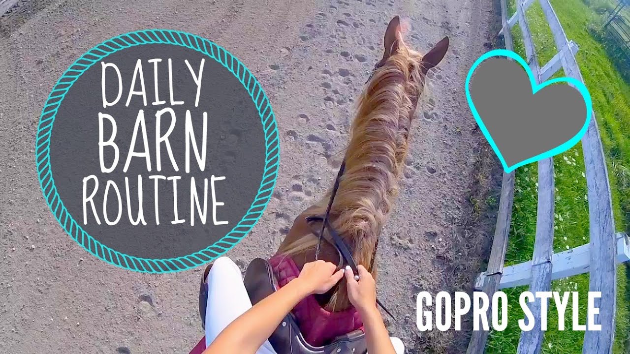 DAILY BARN ROUTINE |GOPRO STYLE
