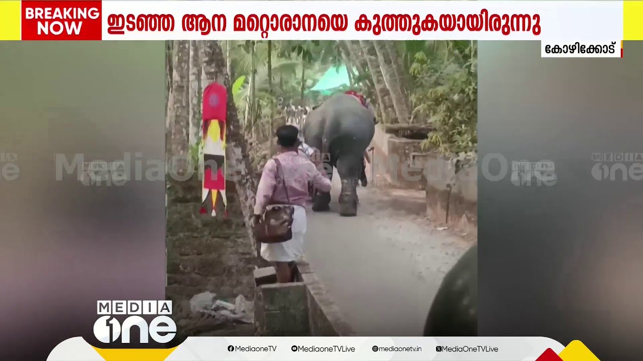 'ആന അടുത്തുള്ള സ്ത്രീകളുടെ ദേഹത്തേക്ക് മറിഞ്ഞു.....' ഷിജു അപകടത്തിന്റെ ദൃക്‌സാക്ഷി
