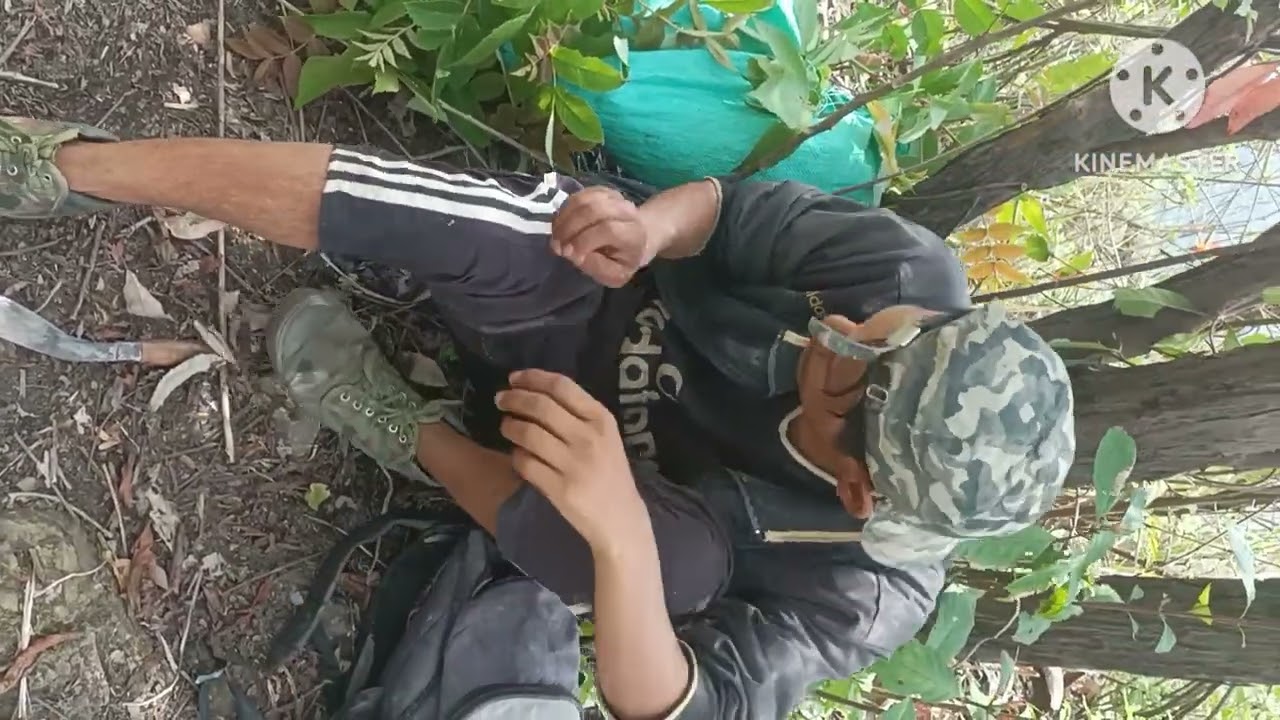 Chingda Yensang Napi thiba chatpa