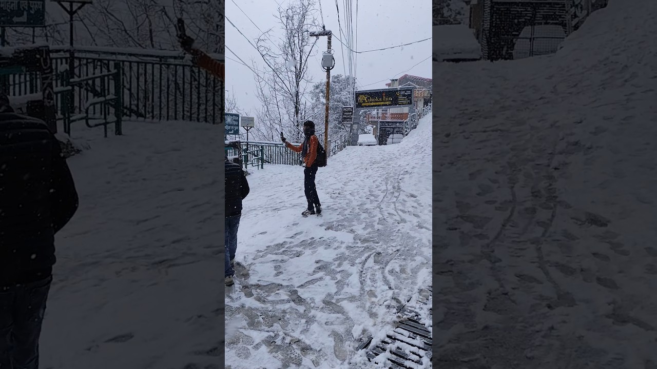 Shimla snowfall #shimla #video #travel