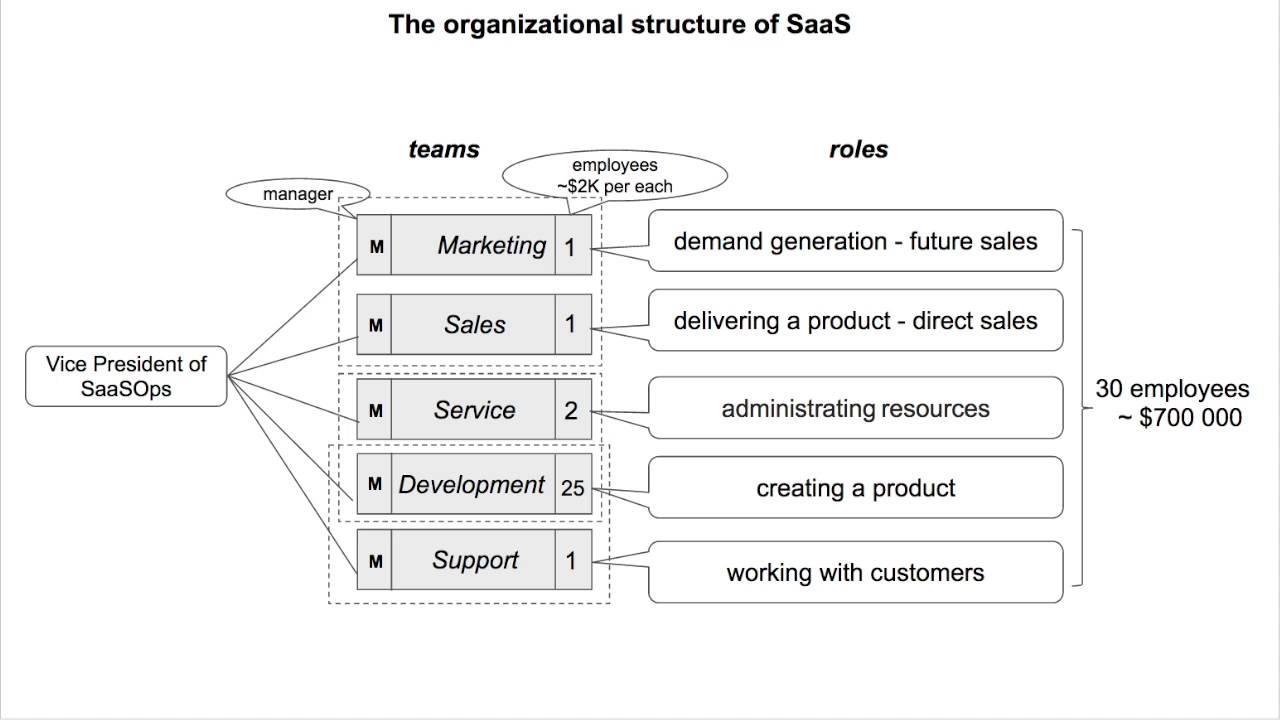 The organizational structure of SaaS