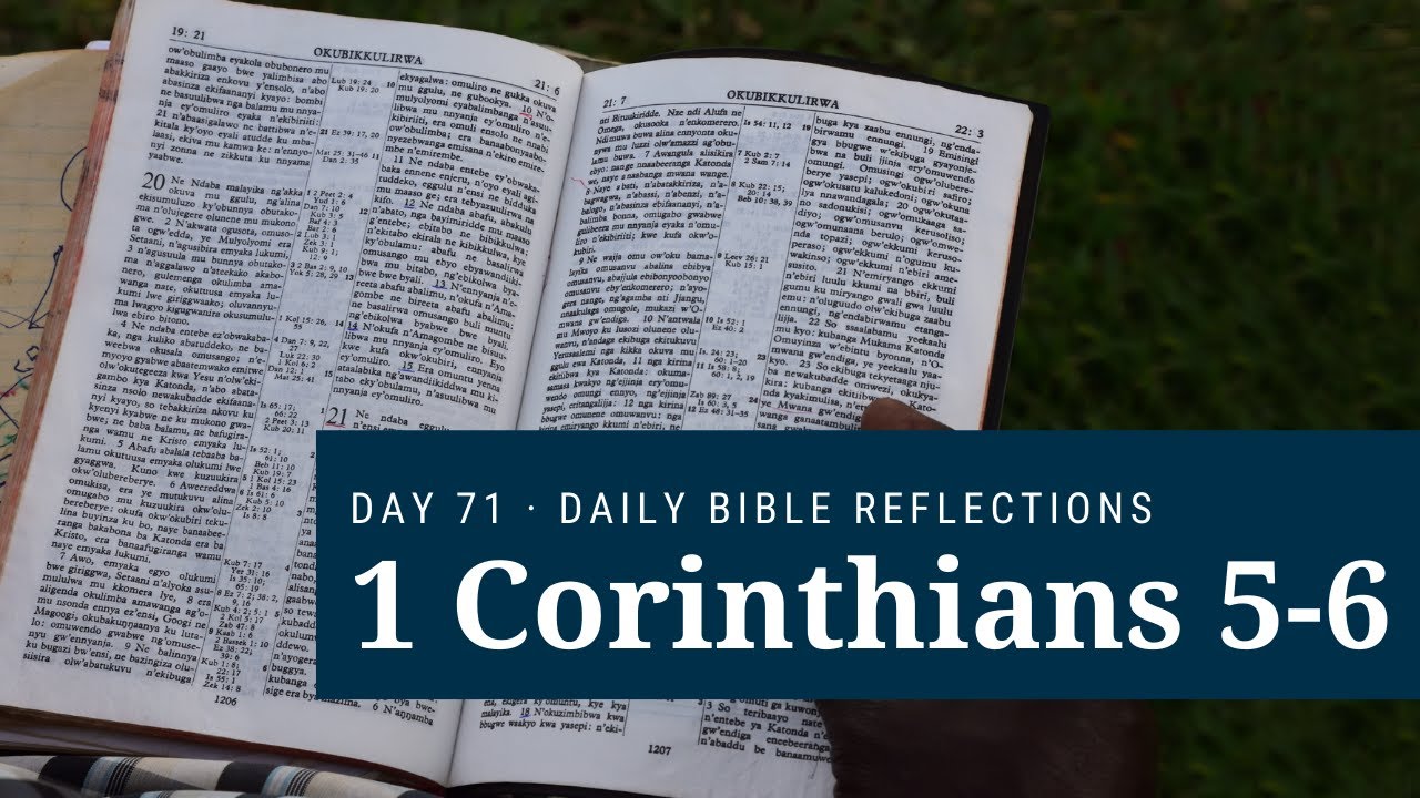 DAY 71 | 1 Corinthians 5-6 | The Bible in A Year