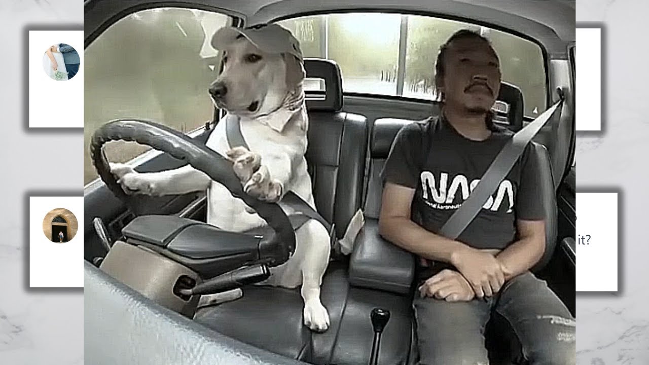 He Let His 