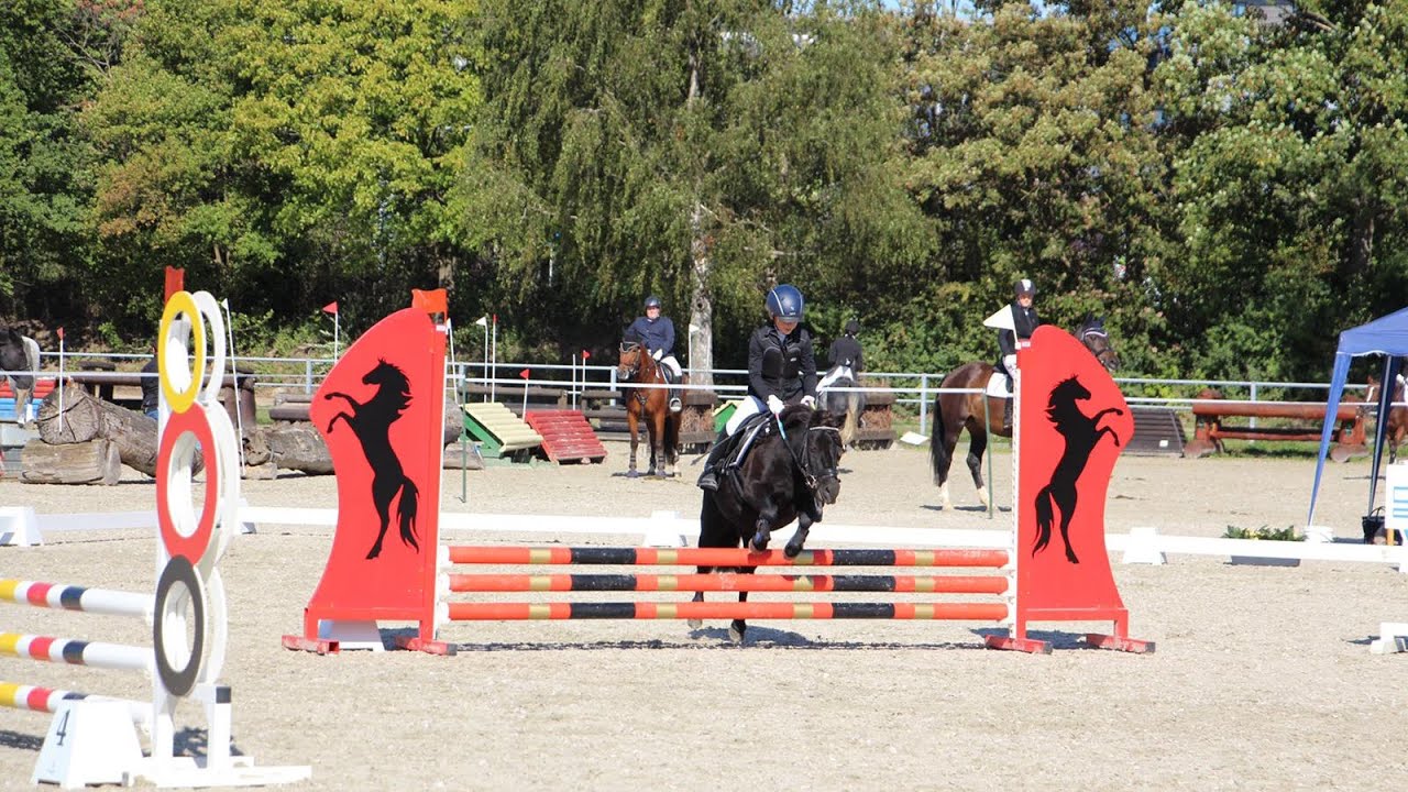 Leona & Linda Springreiter WB 70cm mit Shetty