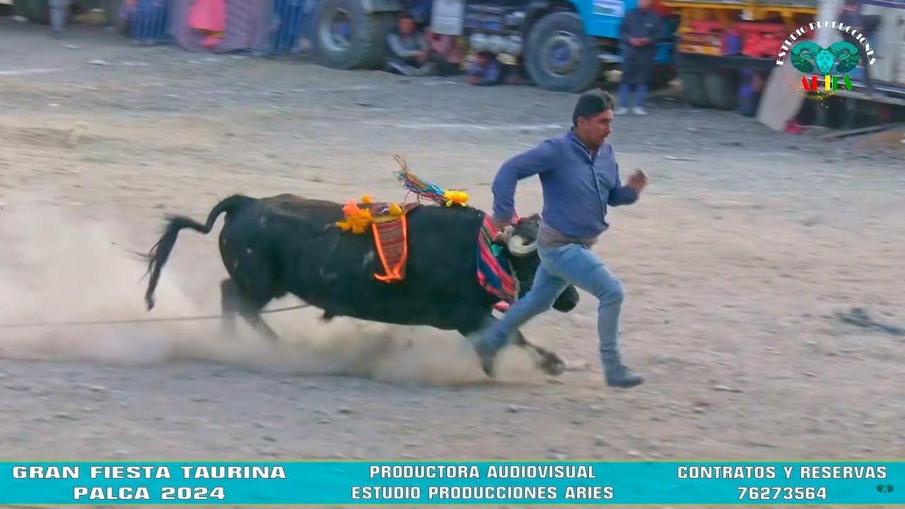 GRAN FIESTA TAURINA PALCA || 2024