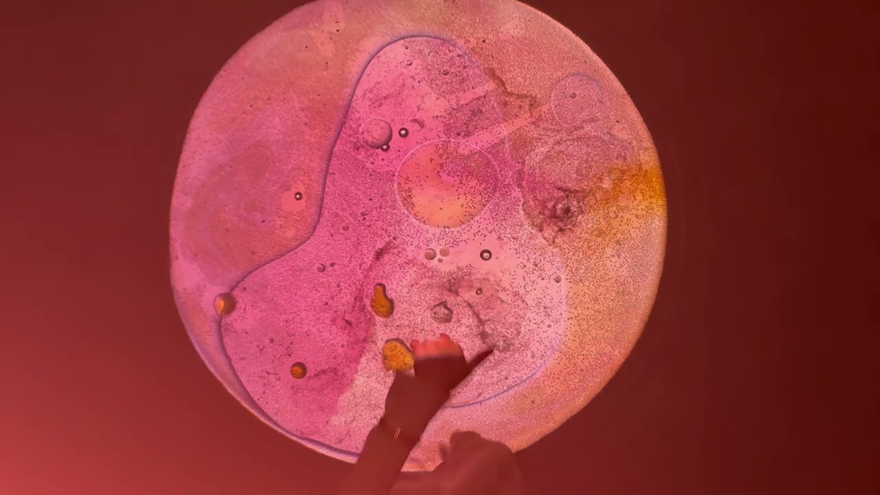 Jauna Dīna Juoņa Sauļa Te Mūstās