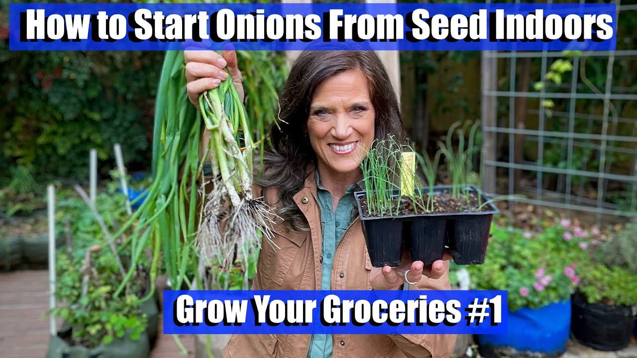Starting Onion Seeds Indoors/Grow Your Groceries with CaliKim #1 🍅🥬🥕🥗🍓