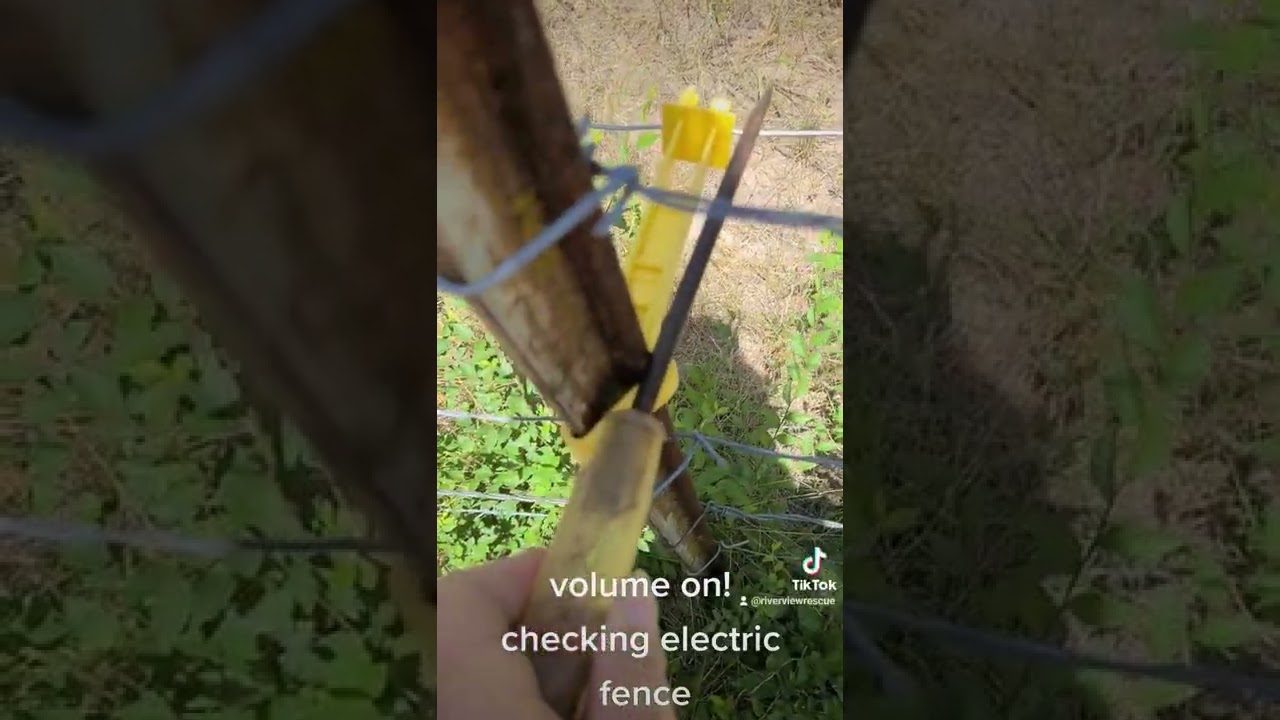Easy free way to check hotwire/electric fence! Instructions in comments. #hotwire #shorts #diy