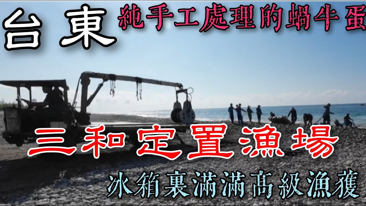 台東唯一的定置漁場丨雜貨店冰箱竟然滿滿的高級海鮮丨純手工處理蝸牛與蝸牛蛋丨三和定置漁場