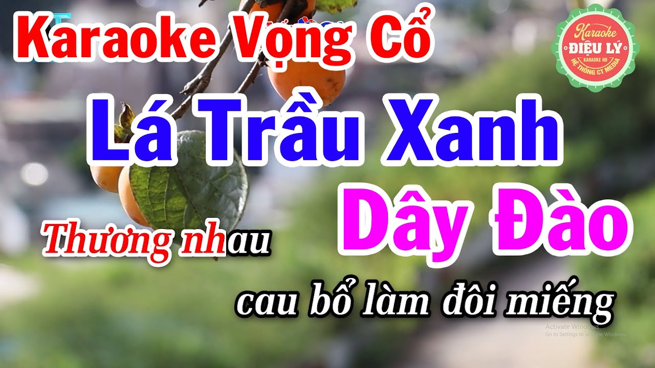 Karaoke Vọng Cổ Lá Trầu Xanh Dây Đào Beat Hay Dễ Hát