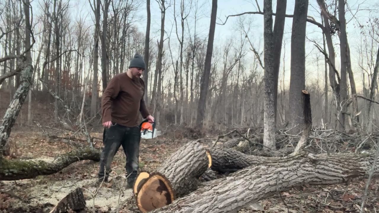 stihl cutting firewood 