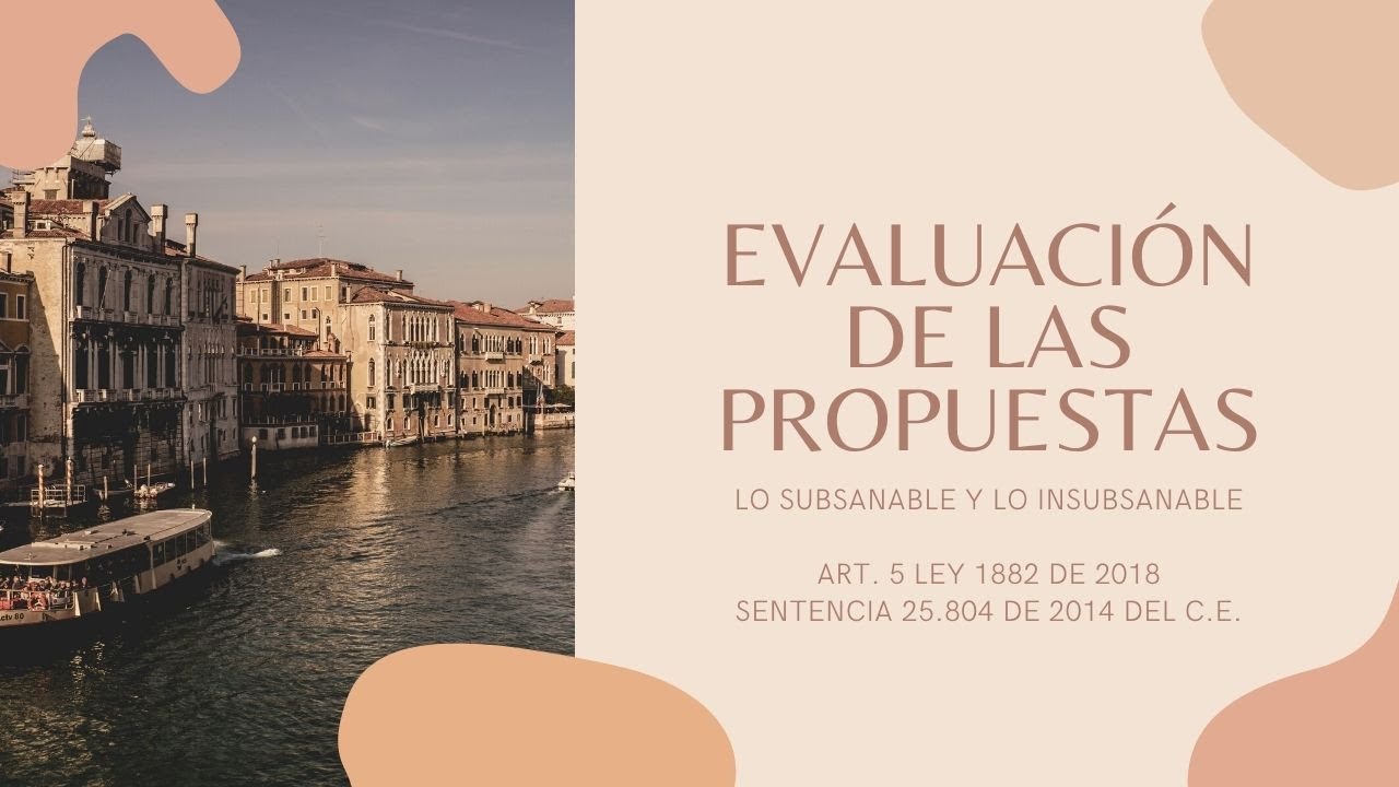 La Evaluación de las propuestas, lo subsanable y lo insubsanable.