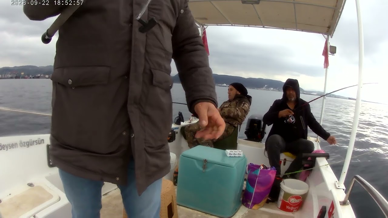 soguk bir havadan balık aşkı