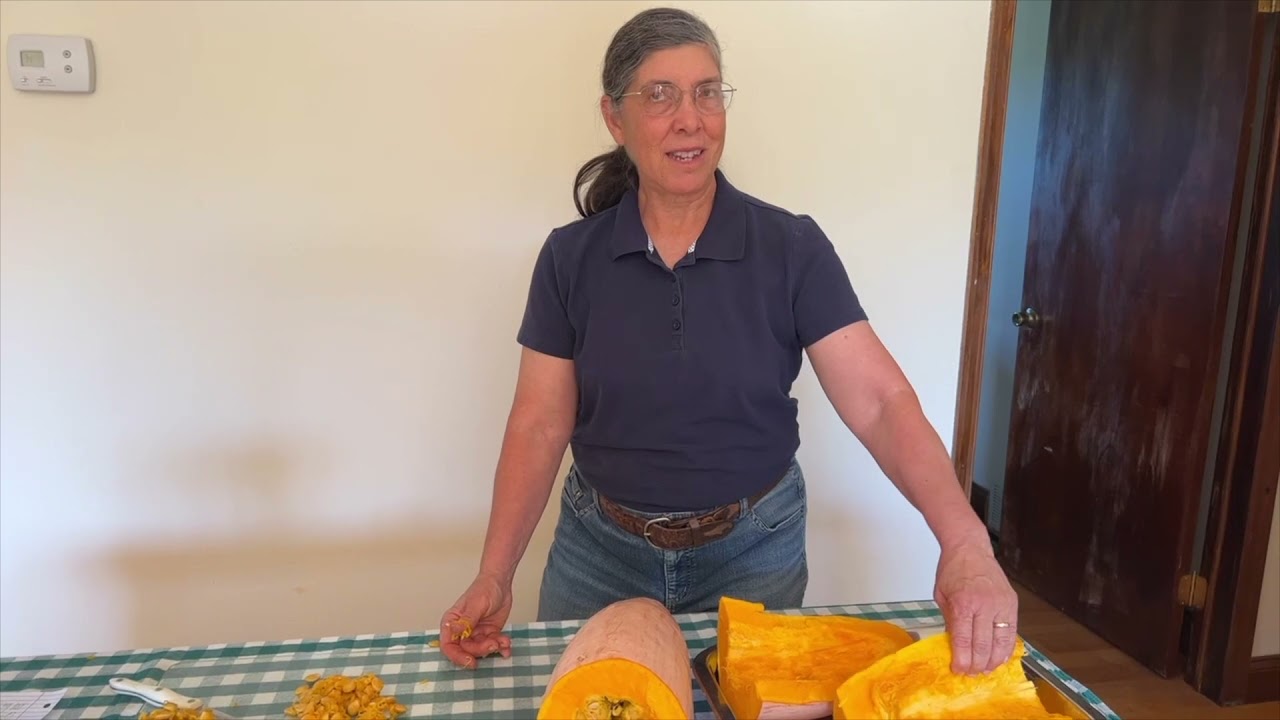 Pink Banana Squash! How to prepare & is it good for pie?
