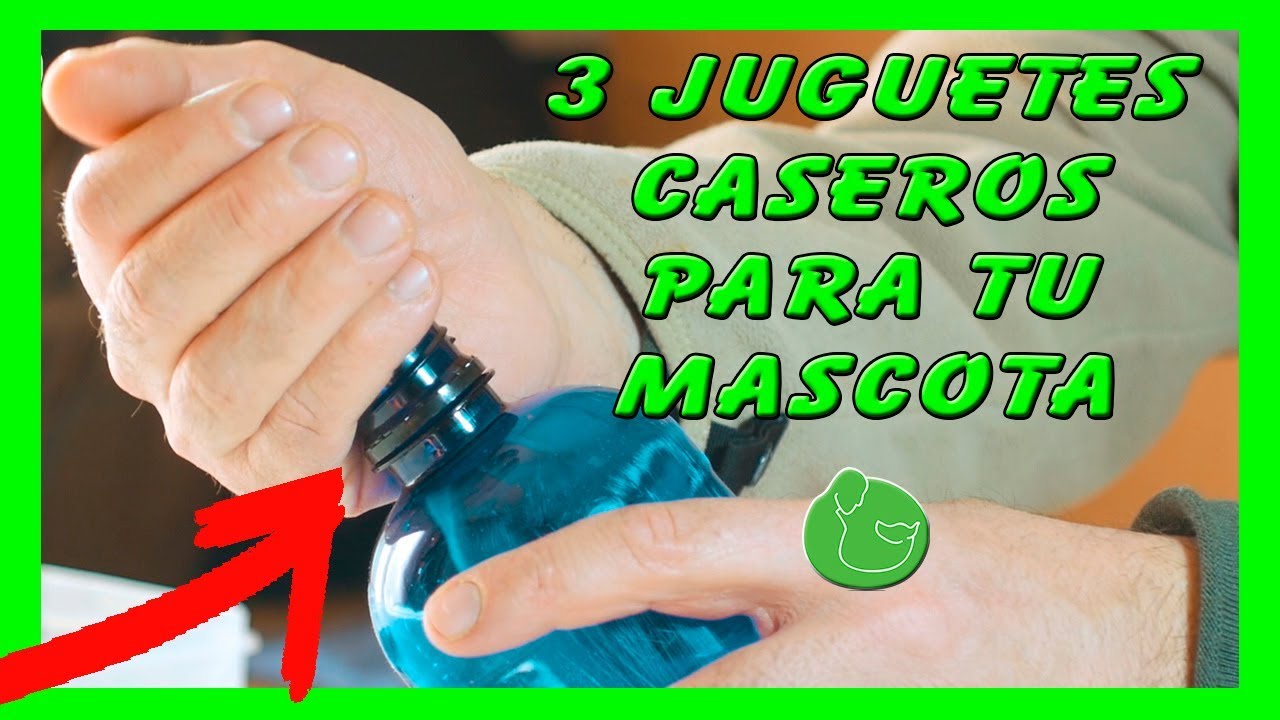 3  JUGUETES para PERROS