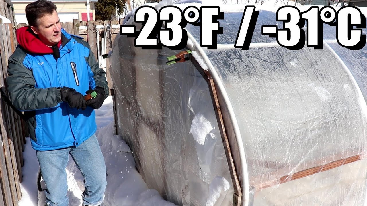 Как наш зимний сад выжил при температуре -23°F (-31°C) без отопления