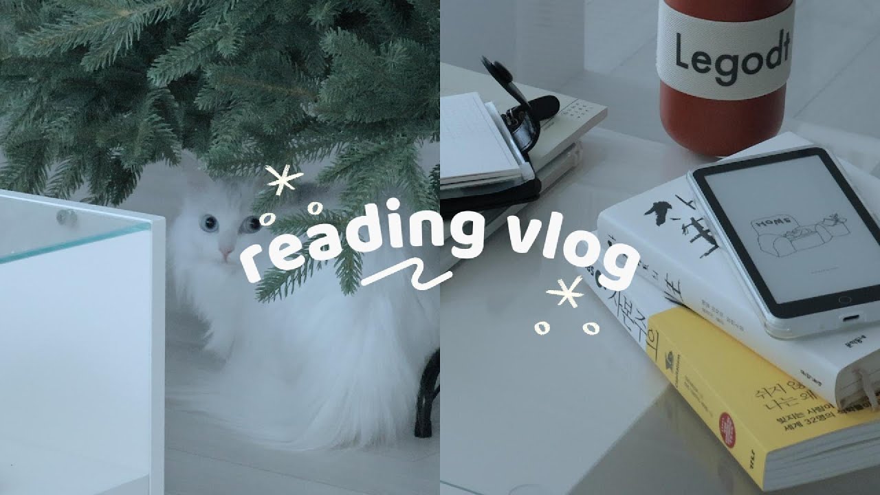 외로워도 슬퍼도 나는 또 읽어... 독서 브이로그📚✨ | 자기 앞의 생 | 자본주의 | 미묘한 메모의 묘미 | 가공범