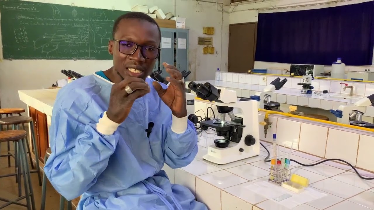 Comment observer les cellules viable des levures (mycologie) #foryou