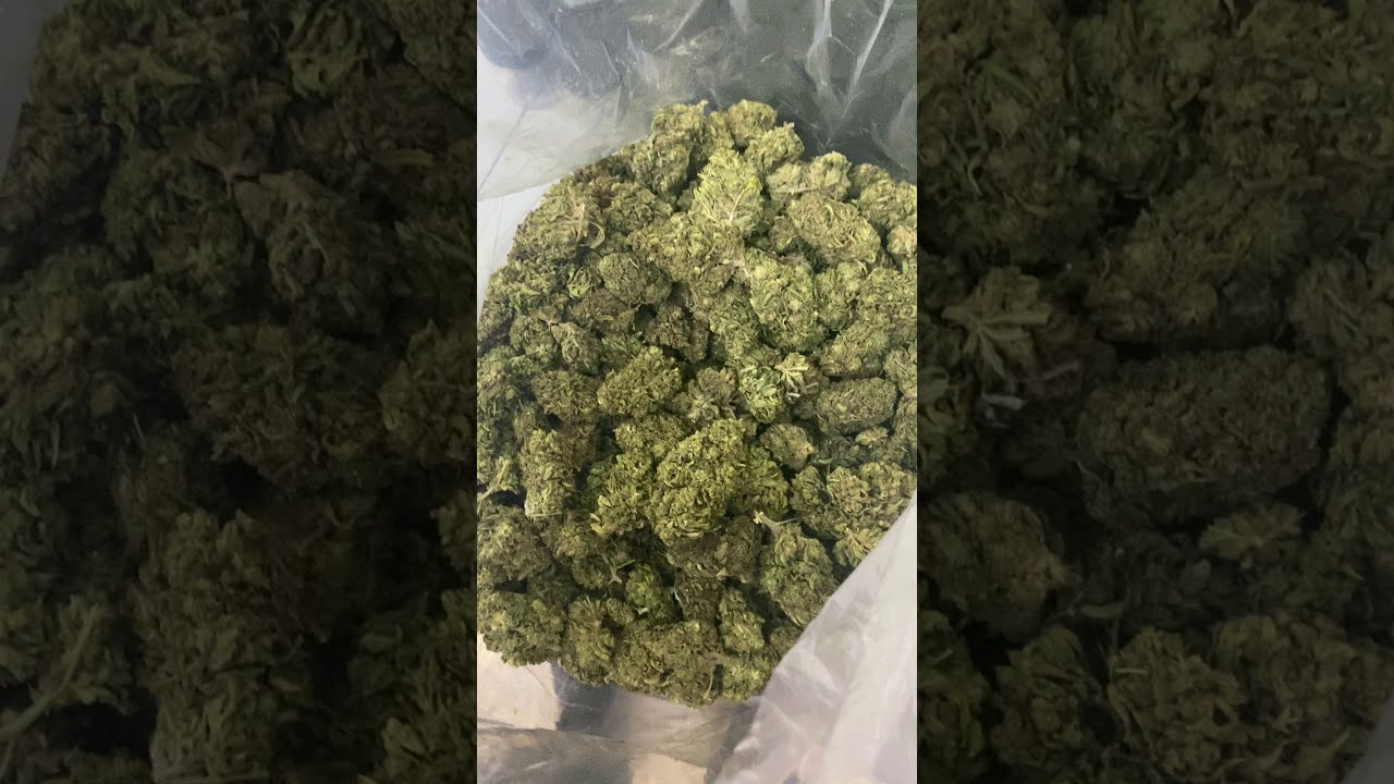 Sour Space Candy Hemp Flower from Oregon