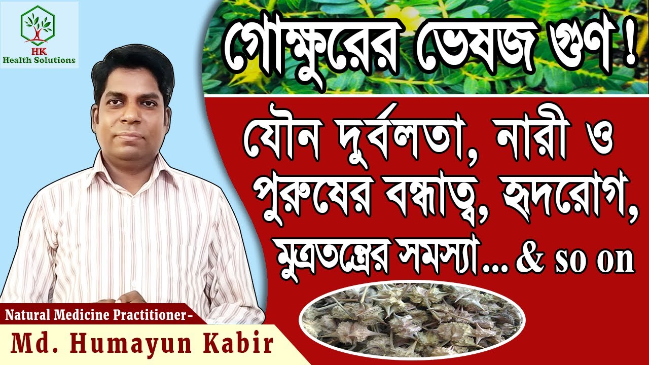 গোক্ষুরের অসাধারণ ভেষজ গুণ ! - Extra-ordinary medicinal quality of GOKSHUR!