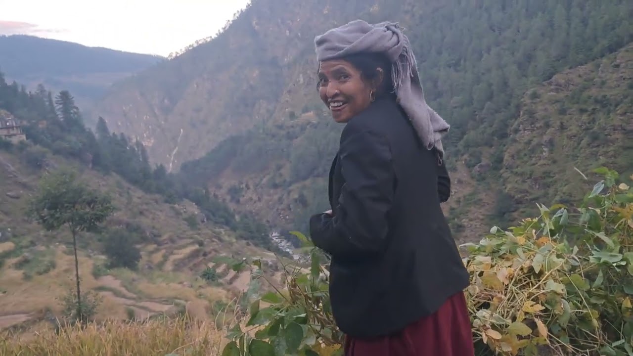 आफ्नै करेसा बारिमा फलेको काक्रा बुढा बुढीको रमाइलो♥️❣️#sharansingh❣️