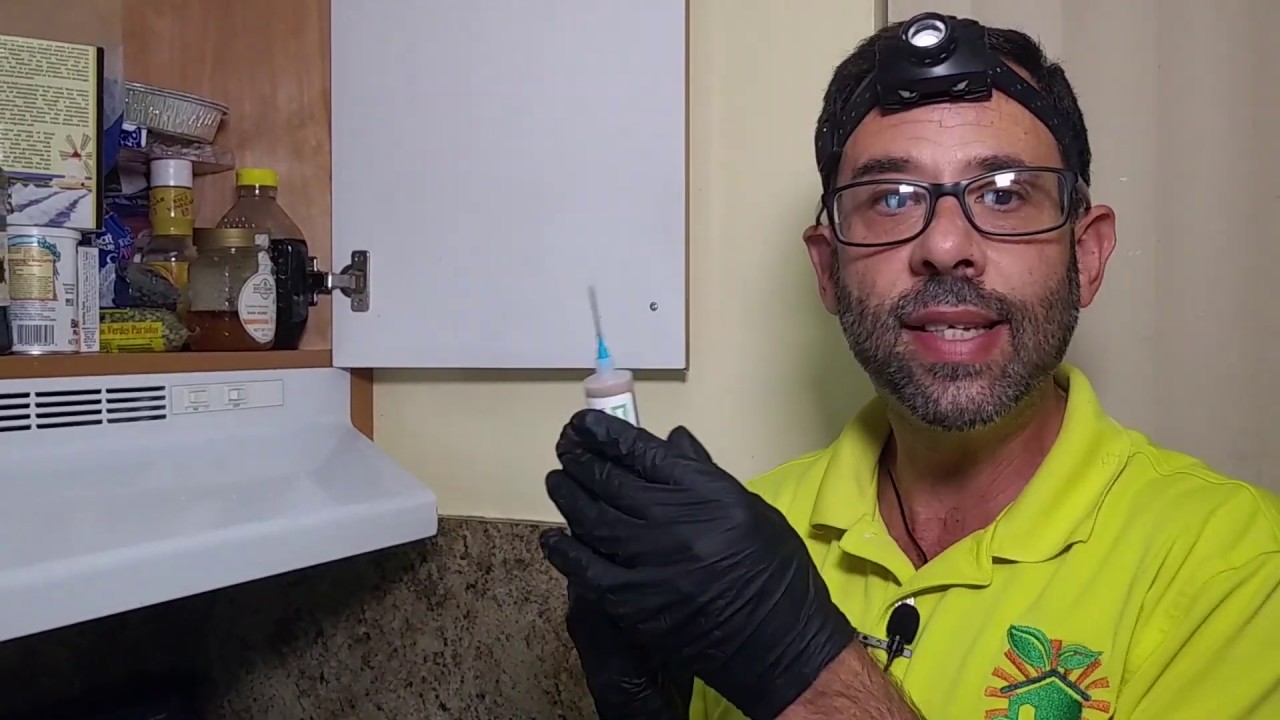 Apartment German Roach Control  Service Demo How We Perform An Eco-Friendly Pest Control Service