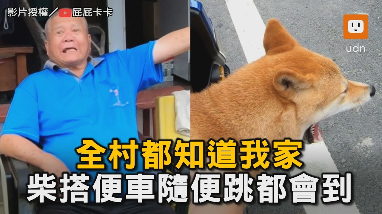 全村都知道我家！柴犬搭便車隨便跳隨便到｜狗｜柴犬｜可愛｜寵物