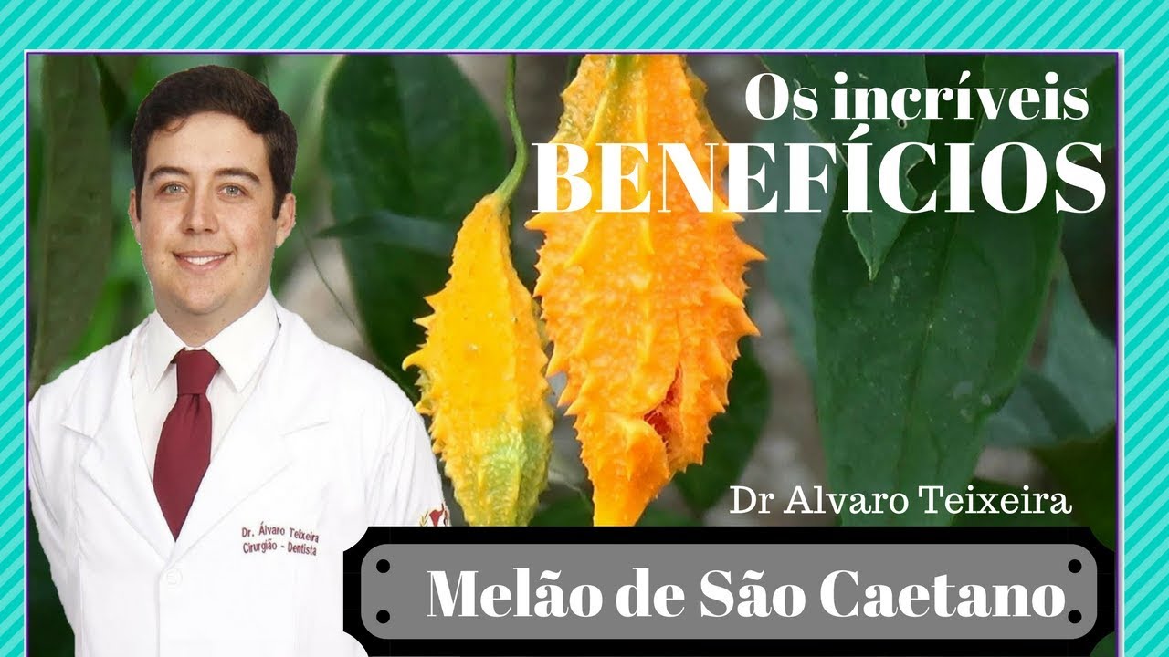 Melão de São Caetano, reduz os tumores cancerígenos - Dr Álvaro Teixeira Explica!