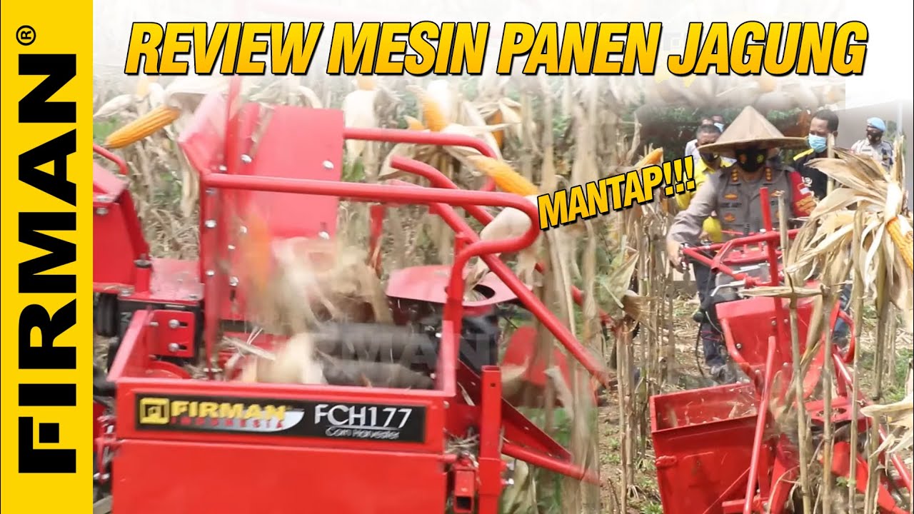 PETANI WAJIB NONTON‼️ REVIEW MESIN PEMANEN JAGUNG FIRMAN FCH177 di Acara Panen Raya Kabarhakam Polri