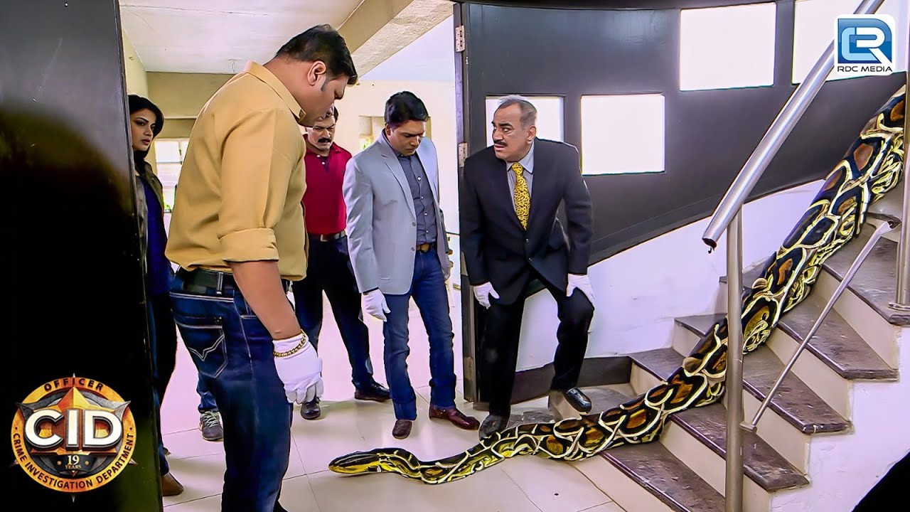 घर के अंदर मिले अजगर को कैसे पड़ेगी CID | CID Latest Episode | Best Of CID