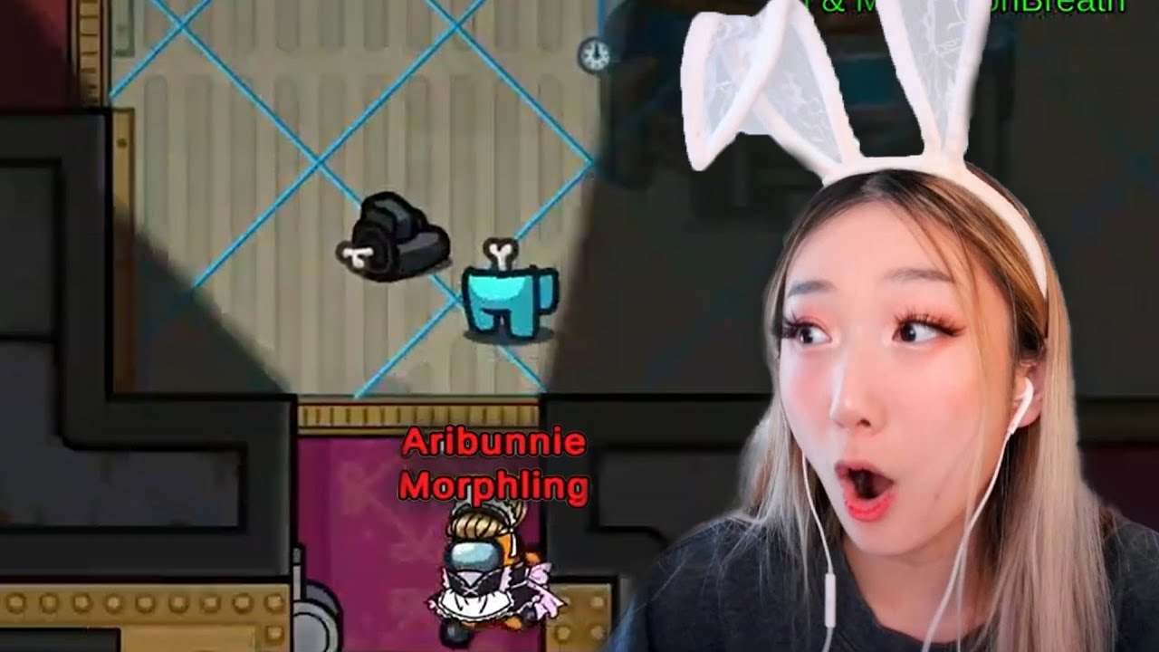 The Undetectable Impostor | Among Us Town of Us | Aribunnie