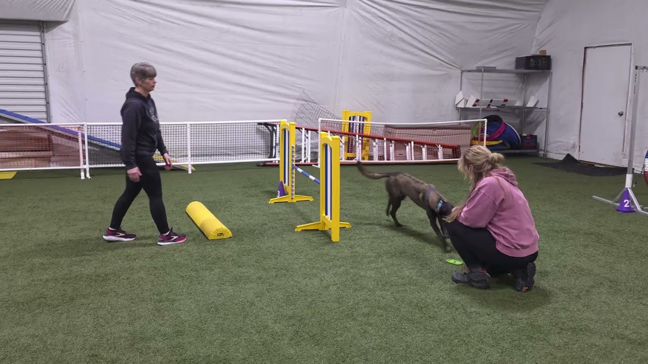 Sekas Agility Journey February 23, 2026