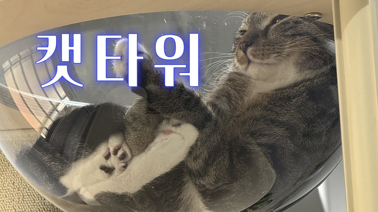 투명해먹에 꾸깆...