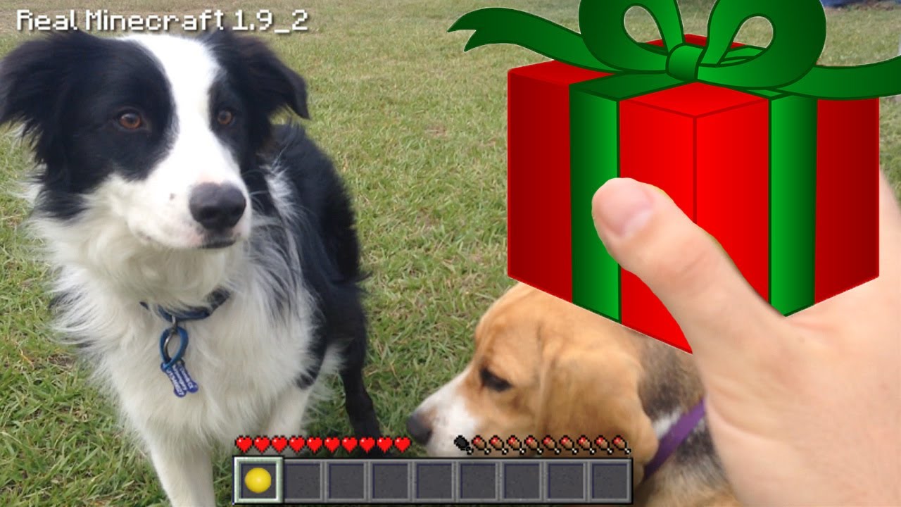 Real Life Minecraft - MERRY CHRISTMAS FROM THE PUPPIES!!