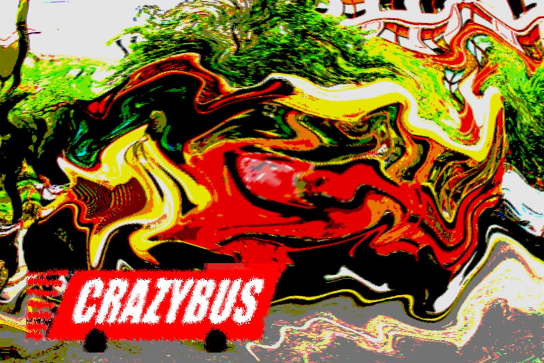 Autentyczny life-changer, czyli jedyny w swoim rodzaju CRAZYBUS