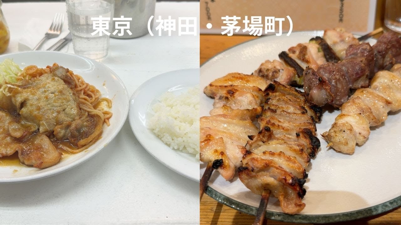 出張コンサルの東京日帰りVLOG｜神田で古本、昼はしょうが焼き、夜は茅場町の焼鳥名店へ