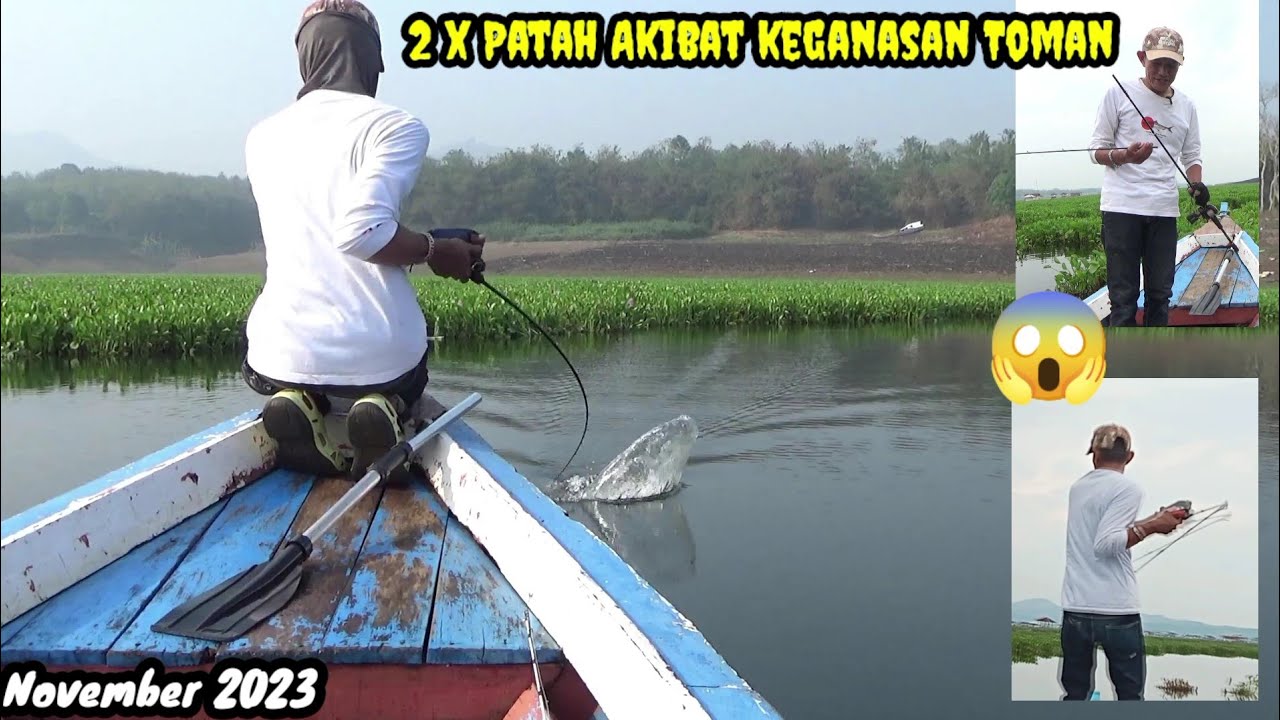 CASTING TOMAN CIRATA || DUA JORAN PATAH MENGHADAPI KEGANASAN IKAN TOMAN arifblack