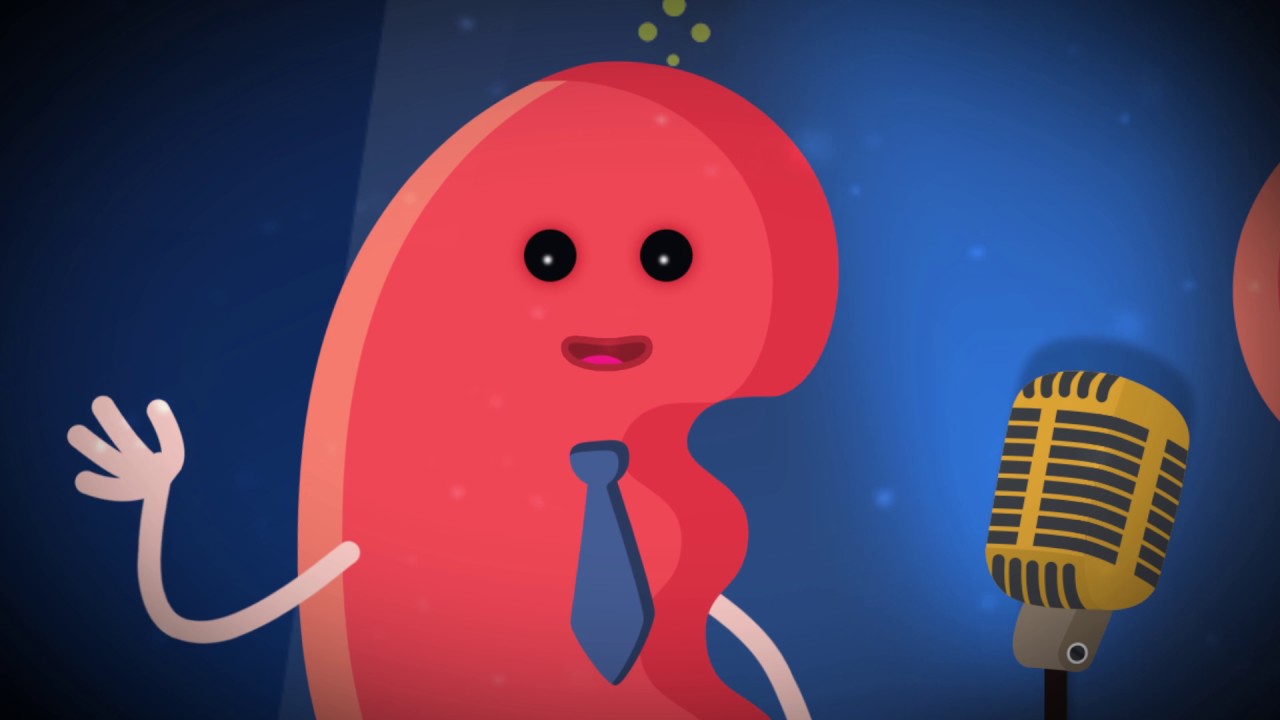 World Kidney Day