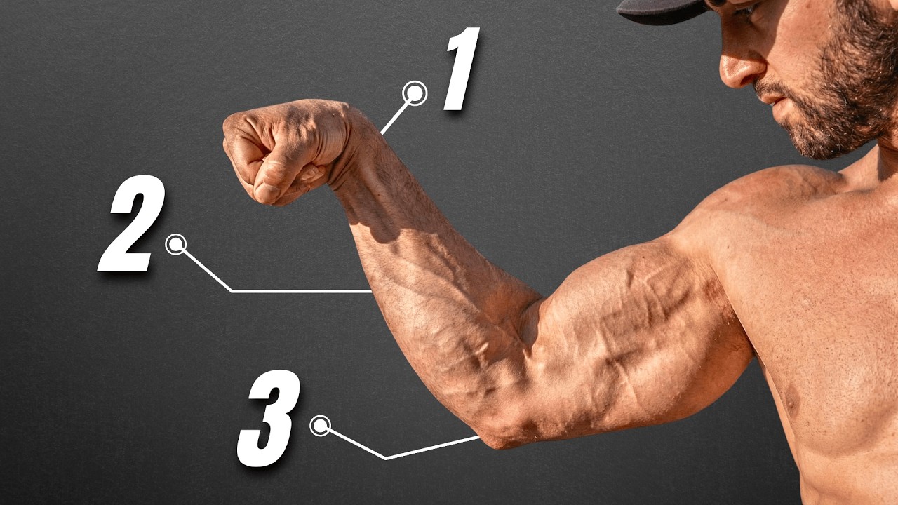 so baust du KRASSE UNTERARME auf