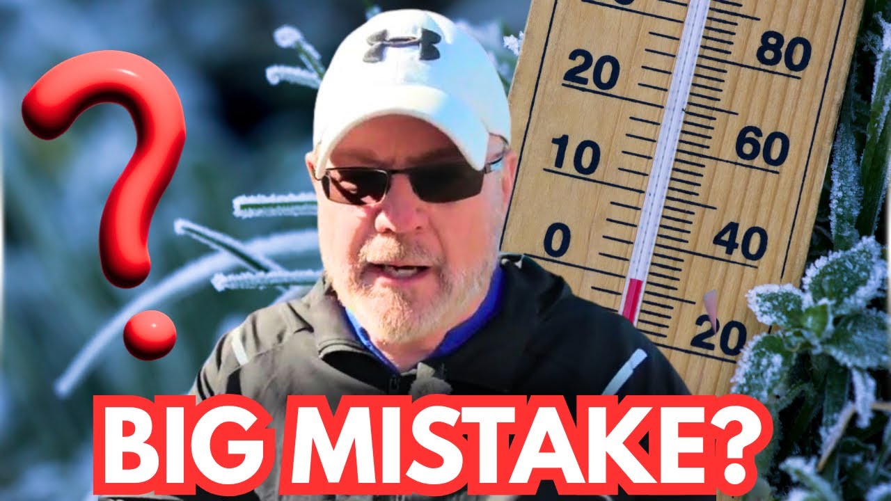 Well, I Hope I Don’t Regret This Decision