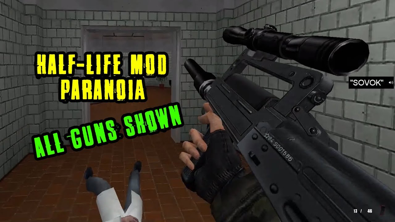 (All Guns Shown) Half-Life: Paranoia Mod