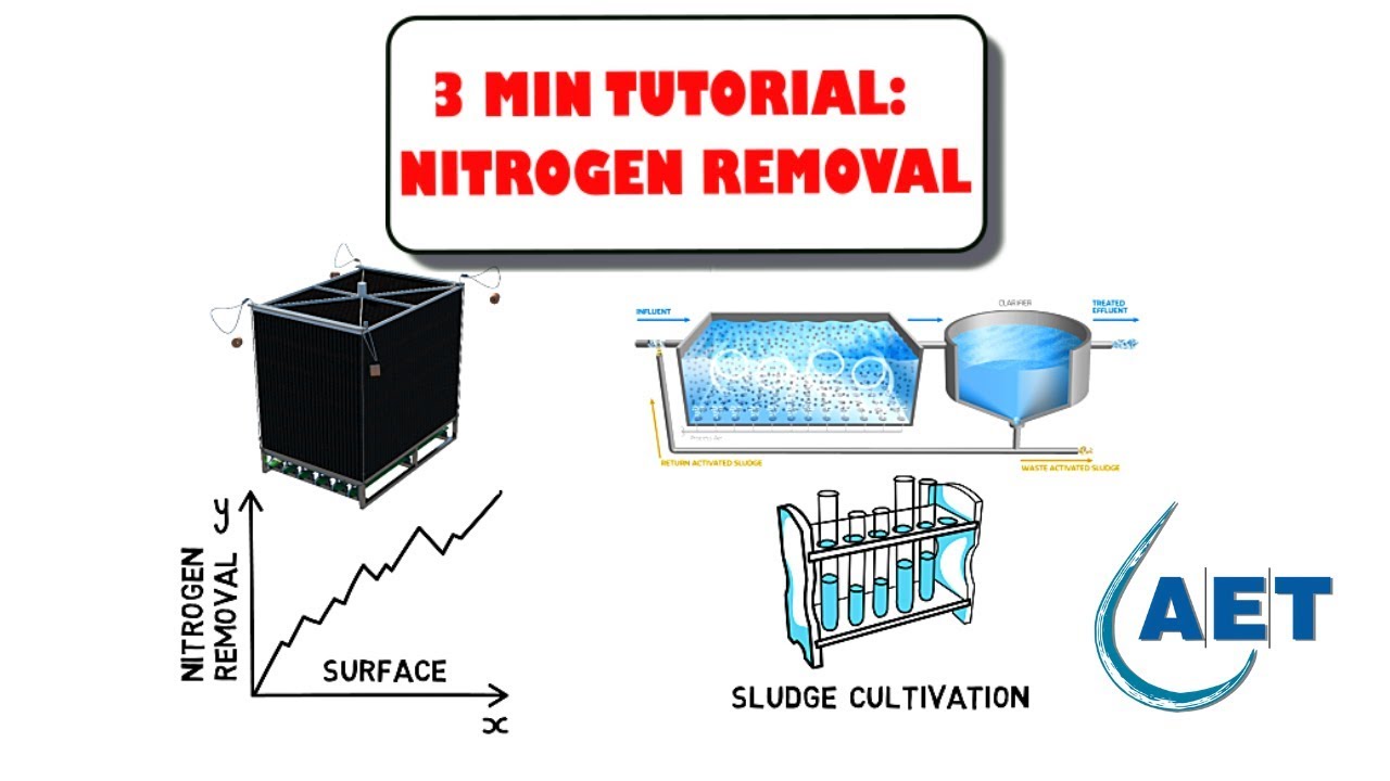 Increase Nitrogen removal