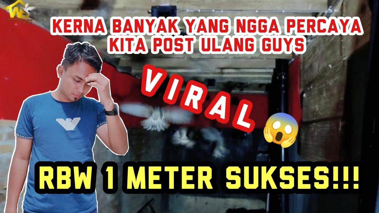 Banyak yang tidak percaya 🤔 gedung walet ini cuman lebar 1 meter setengah sukses !!!