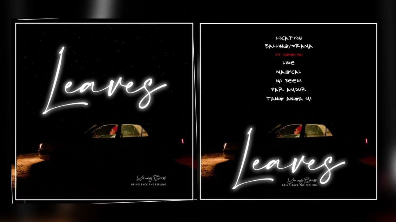 YoungBoss-Par Amour (audio)