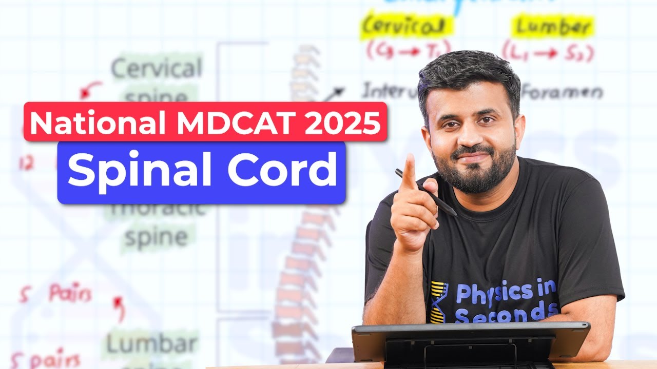 National MDCAT 2025 | Biology | Spinal Cord