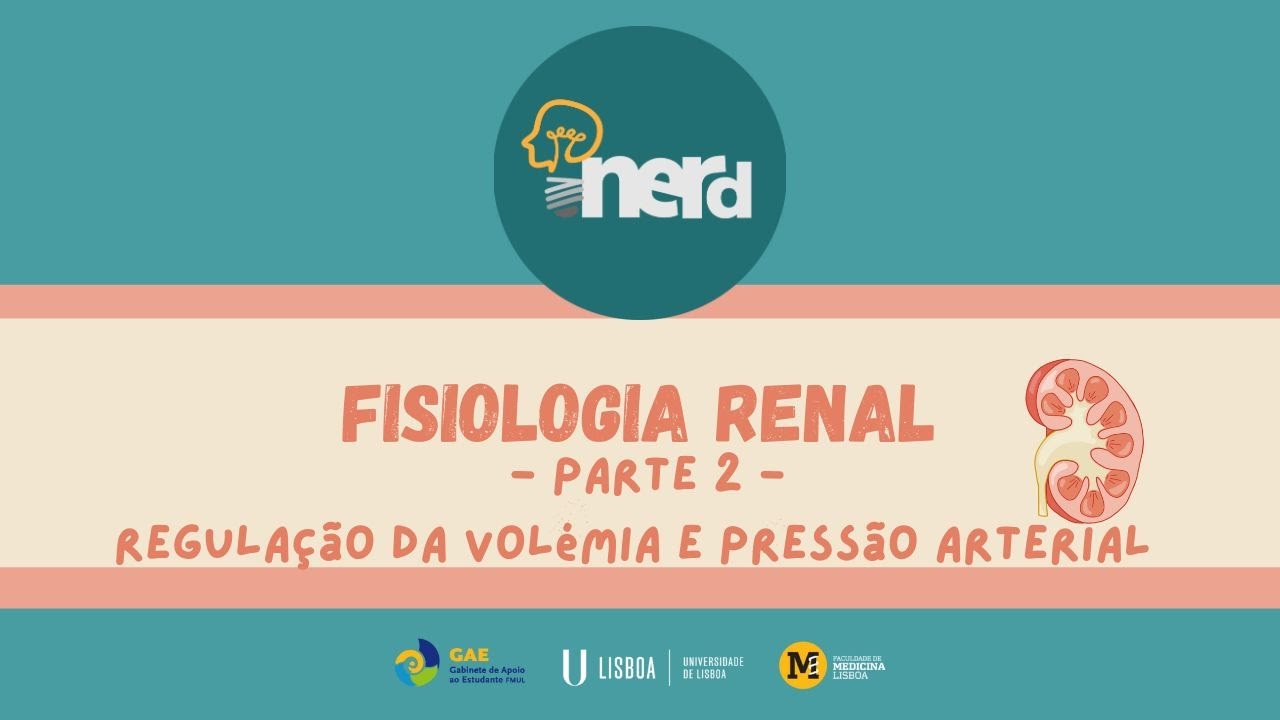iNerd: Fisiologia Renal &ndash; Parte 2 &ndash; Regula&ccedil;&atilde;o da Vol&eacute;mia e Press&atilde;o Arterial